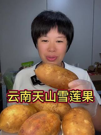 #雪莲果 清甜爽口多汁的云南高山 #天山雪莲果 雪莲果,任何人群都可以吃的,高品质大品牌有保障放心拍吧家人们😁