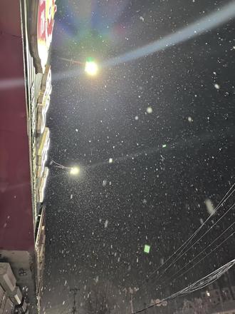 如果明天雪漫河间,那就是我对你的思念