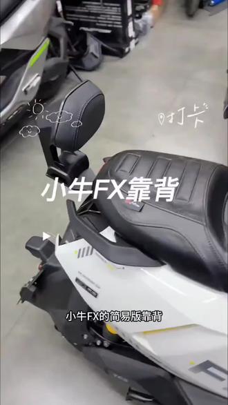 适用小牛FX风速版后靠背FX/FXT铝合金靠背加厚靠垫直上改装配件