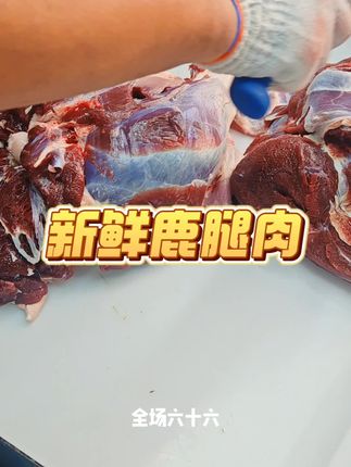 新鲜鹿腿肉#养生#滋补养生#产地#新鲜#滋补#健康科普