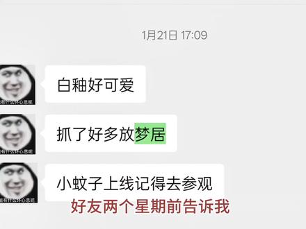 可爱白鼬呵呵呵 真的好可爱..#抖音acg新春会 #奇趣贺岁 #超自然行动组 #闺蜜们都在玩超自然 #超自然百万激励计划