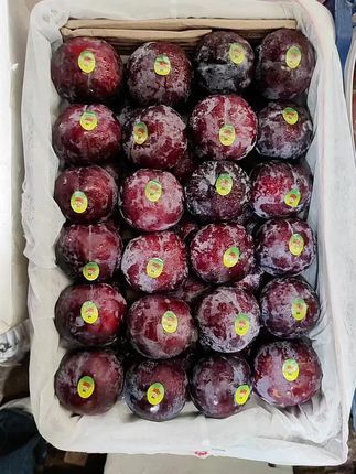 脆红李脱骨李珍珠李新鲜应季水果包邮 #脆红李#李子#脱骨李#红心李#新鲜应季水果