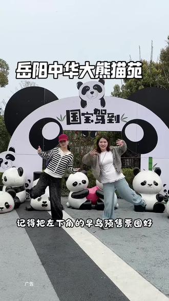 假期还不知道去哪儿,从武汉出发去岳阳看大熊猫吧 #熊猫苑踏春季 #岳阳踏青好去处#春日限定熊猫苑#周末时光 #溜娃好去处