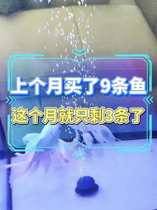 高精度智能数显温控器电子控温仪锅炉地暖开关可调测温度控制插座#十亿流量扶持计划