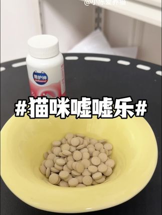 尤其是养小公猫的家长!嘘嘘这方面一定要注意!关键这一瓶也不贵!##养猫新手 #科学养宠 #公猫 #养宠进阶指南 #养猫