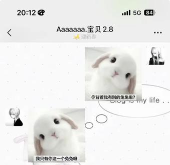 你背着我有别的兔兔了?#表情包 #热门 #聊天记录