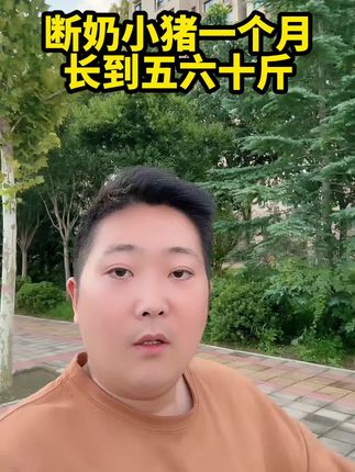 #猪价行情 #三农养猪 #所有养猪人 #每日价格播报 #养好猪
