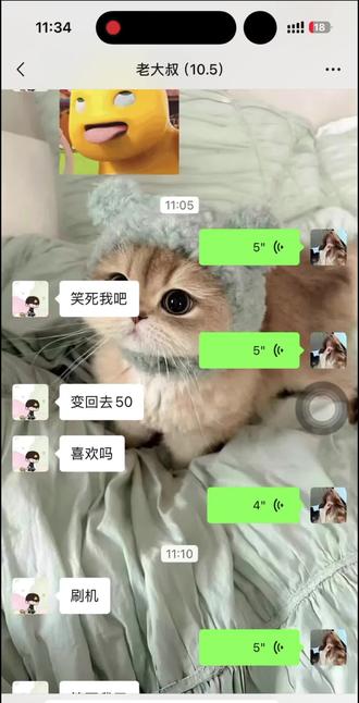 谁能告诉我这个变身器到底怎么关#变声器