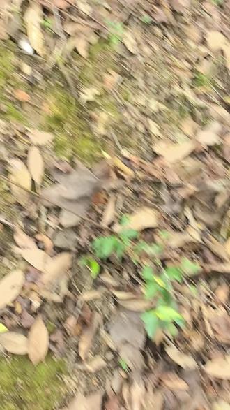 又拿着几十块的东西,来许几百万的愿望