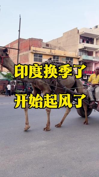 换季了 #印度生活 #真实记录拍摄 #干净又卫生 #印度旅行 #粉色之城@抖音作者助手