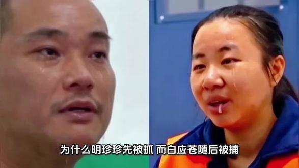 为什么明珍珍先被抓,而白应苍随后被捕?