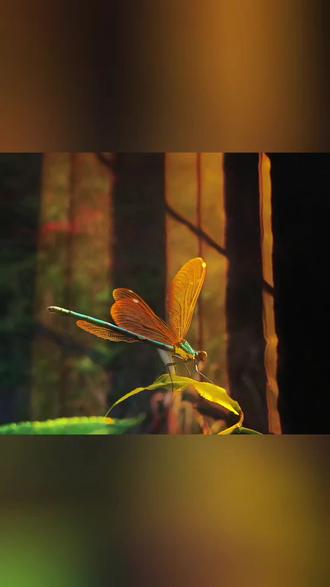 此别无声,山河共念。