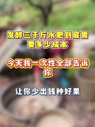 发酵三千斤花生麸水肥到底想要多少成本,今天一个视频教会你#肥料 #发酵 #发酵水肥@DOU+小助手 @DOU+好生意