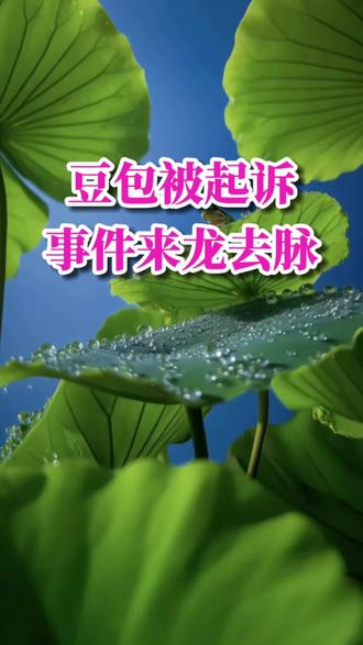 豆包被起诉事件真相,听着挺搞笑的!