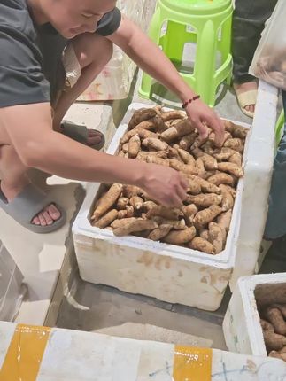 老板些赶紧抢#新鲜天麻