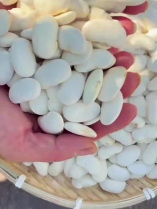 #白芸豆 #大白芸豆 #粗粮 #好吃不贵经济实惠 #好吃到停不下来的美味 抖音上热门