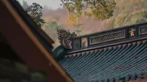 #我循环播放的新歌 佛曰——
我问佛,亲人离去,为何心有不甘?佛说,你
执念于长相守,忘了缘分,皆有定数。
我问佛,注定分离,相遇岂非徒劳?佛说,一
程相伴,一生印记,遇见即是圆满,何须强求永远。
我问佛,如何面对这生离死别?佛说,来是偶
然,走是必然。随缘而安,随心而静。
我问佛,逝去的人可曾牵挂我?佛说,你若安
好,便是他们所愿,牵挂不必相见,心安便是归期。
我问佛,心痛难愈,是业还是劫?佛说,痛因
深爱,不伤过往,不怨离别,痛过便是醒。
我问佛,何为真正的陪伴?佛说,不在身旁在
心间,不言不语,从未远离。
佛曰,人生本是一场独行,亲人皆是途中僧。
渡你一程,助你修行,其余风雨需自渡。#自渡自愈 #业与劫#问佛#一叶一浮萍一梦一睡莲