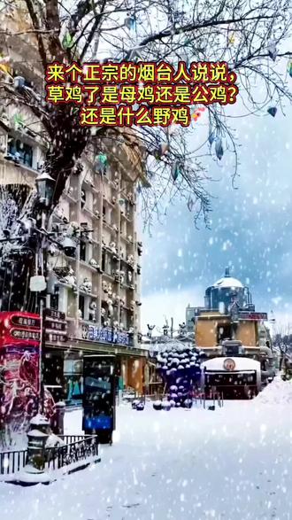 来个正宗的烟台人说说,草鸡了是母鸡还是公鸡?还是什么野鸡🐔#雪中美景如画 #注意防滑 #记录真实生活 #治愈系 #搞笑