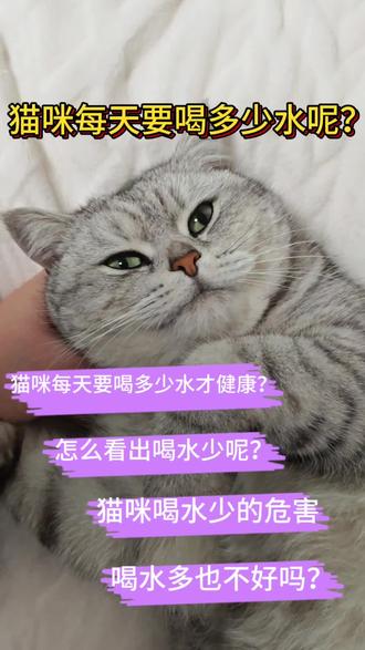 猫咪每天要喝多少水?#真实生活分享计划 #猫尿闭 #猫 #养猫 #宠物知识
