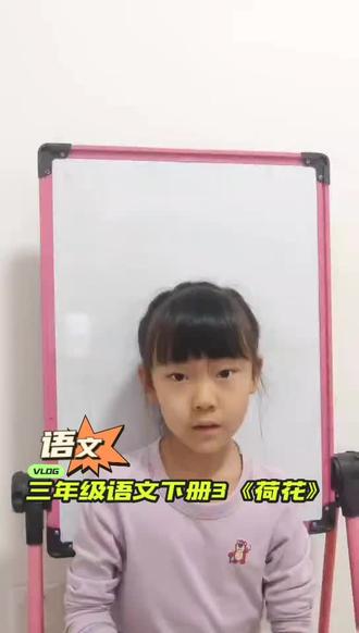 三年级下册语文第三课《荷花》#费曼学习 #三年级下册语文