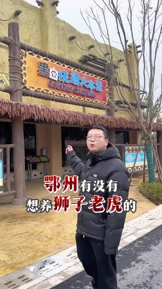 鄂州有没有想养狮子老虎的#动物 #鄂州旅游