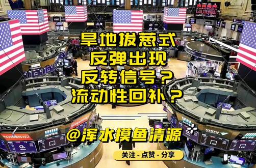 【20260206美股夜报】旱地拔葱式反弹出现,是反转信号,还是流动性回补?
(本文数据均来自公开财经信息和分析,不构成任何具体的投资建议,理财有风险,投资需谨慎)
#美股 #标普 #纳斯达克 #科技股 #软件股