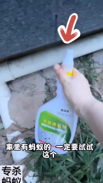 #创作者中心 #创作灵感 杀蚂蚁药家用无味型杀虫剂家庭驱虫灭杀防治去蚂蚁克星喷剂#蚂蚁 #蚊虫叮咬止痒 #灭蚂蚁神器