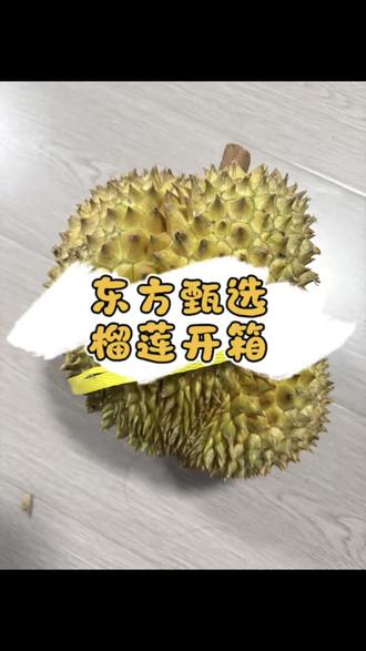 东方甄选榴莲开箱视频 买的5-6斤的,收到的是5斤,大家帮我看看这个怎么样?#榴莲盲盒开箱 #榴莲打开的方式 #榴莲开箱 #开榴莲 #开榴莲的正确方法