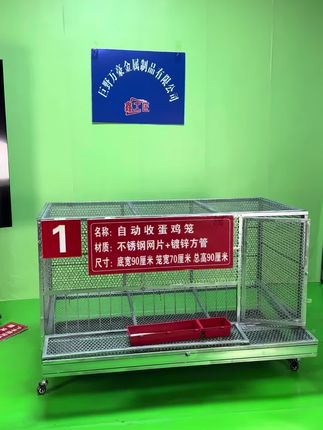 #养鸡 今天给家人展示一下,怎么养抓鸡方便