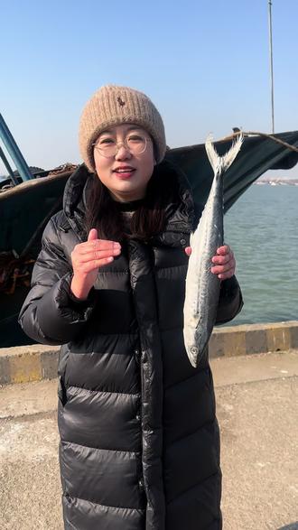 腊月是马鲛鱼(鲅鱼)最肥美的时节,油脂足,肉质紧,是年夜饭上的硬菜,都来囤年货啦#鲅鱼 #黄海中心渔港 #原产地直发