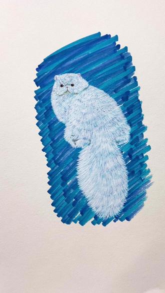 手把手教你马克笔画长毛白猫 #马克笔 #绘画教程 #手绘视频 #画渣日常 #手绘画画