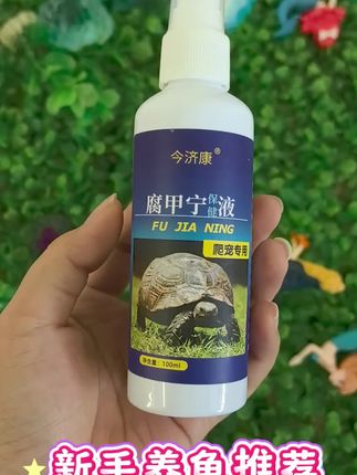 #乌龟#小乌龟#乌龟壳#乌龟组合#乌龟甲 新手养龟必备,希望可以帮到你们
