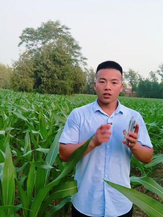 玉米九合一套餐,病虫害防治#农业种植#病虫害防治#玉米种植超便宜超划算#分享农业小知识