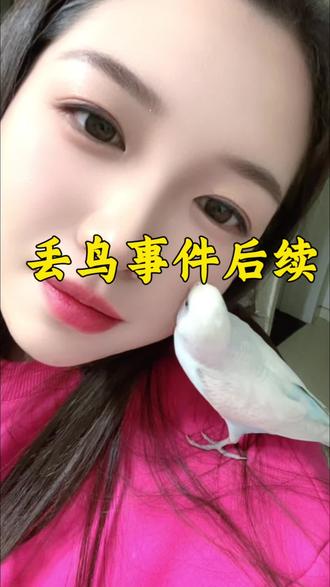 老星星是回不来了,只能又买了一只新星星。#日常vlog #鹦鹉 #女儿 #宠物