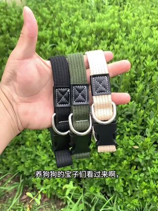 宠物帆布狗项圈小型犬中型犬大型犬脖圈狗狗脖套帆布狗项圈狗脖套#宠物项圈#狗狗脖圈#养狗人 #狗狗#宠物