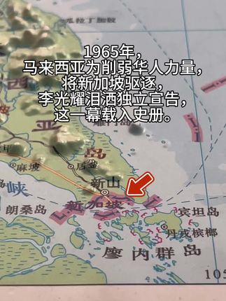 1965年,马来西亚为削弱华人力量,将新加坡驱逐