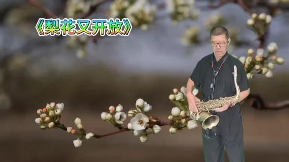 #《梨花又开放》#思念故乡#怀念亲人#