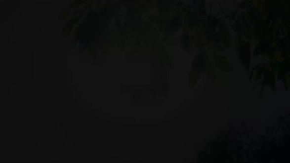 《了不起的中国航天》-书籍推荐