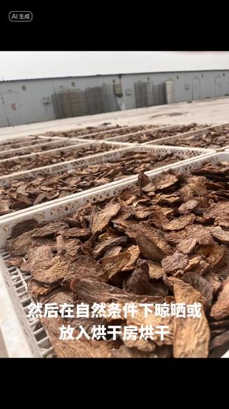#且末荒漠肉苁蓉#苁蓉片#优质农产品