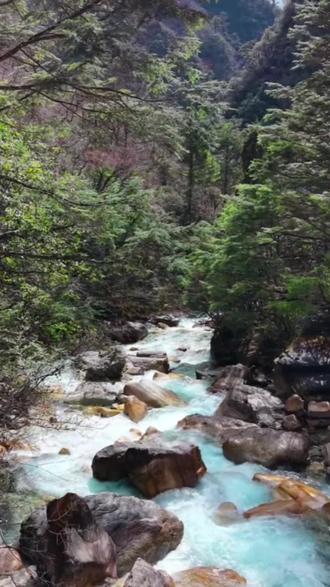 封闭八年之久的东拉山大峡谷已经正式对外开放了#东拉山大峡谷#封闭八年的东拉山开园了