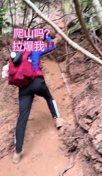 爬山吗?拉爆我‼️ 没有烤肠的山#画马