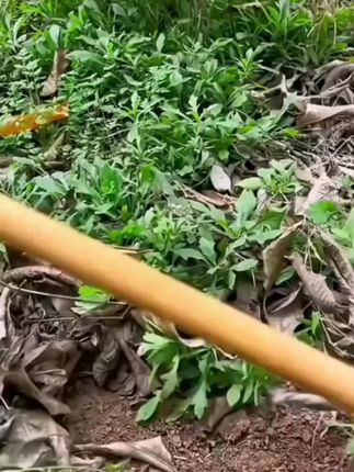 【锰钢加厚】锰钢挖地草锄农用长柄锄草利器锄地除草锄头适用 #挖地草锄#锄草利器锄地#除草锄头适用