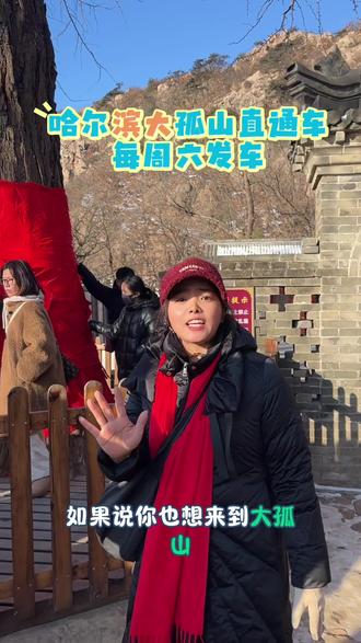 哈尔滨大孤山直通车 每周六发车哦!
#大孤山 #大巴车 #千年银杏古树 #三教合一
