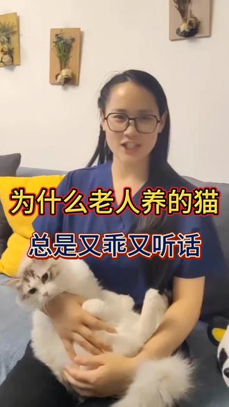 为什么老人养猫总是又乖又听话#猫咪 #养猫人