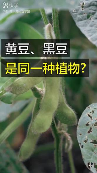 是同一种食物哟#天然食材科普