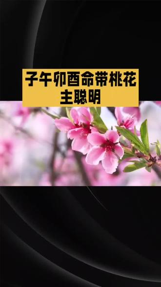 子午卯酉年生人。子午卯酉在传统命理体系中被称为四桃花之地,对应着十二地支中四个带有浪漫之气的方位,也对应着子午卯酉四个年份出生的人。在传统命理认知里,生于子午卯酉年的人,往往自带桃花特质。
子午年生人,多自带通透气场,对情绪与关系感知敏锐,容易在人际中吸引他人目光;卯酉年生人,往往外形温和灵动,自带亲和力,天生擅长处理情感联结,更容易收获他人好感。
桃花并非单指情爱,更多是指人际中的吸引力与共情力。生于子午卯酉年的人,大多能在关系中保持清醒,懂得平衡自我与他人的边界,借这份灵动特质,经营出从容舒展的生活。所谓桃花属性,本质是对人际温度的感知力,是与生俱来的情绪天赋。命带桃花主聪明。