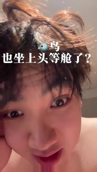 一只鸟配一个头等舱#冷知识科普