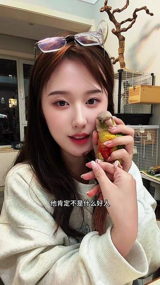 鹦鹉!一个巨大的消费陷阱!当初花60买个鸟,没想到光用品就花了好几千,从一只小虎皮开始,还不知道要从什么品种结束…#新手养鹦鹉 #养鸟人 #养鹦鹉日记 #鹦鹉鹦鹉萌萌哒逗鹦鹉 #虎皮鹦鹉