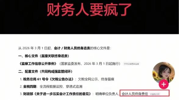 会计终身追责针对的并不是你!!!#终身追责会计 #会计终身追责