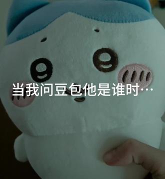 当我问豆包他是谁时…